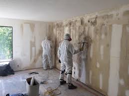 Best Commercial Mold Inspection  in Rockwall, TX